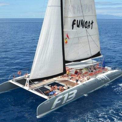 			Excursion 4.5 horas Freebird - Boat trip to Los Gigantes in Tenerife with Freebird