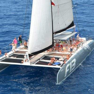 			Excursion 4.5 horas Freebird - Whale or dolphin watching boat trip in Tenerife with Freebird