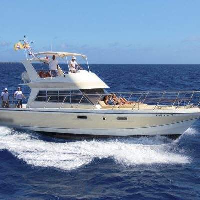 			excursion privada en tenerife para grupos grandes - Private Boat Excursion in Tenerife for 22 people